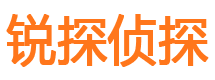 岳阳楼外遇调查取证